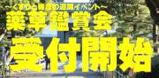 薬草鑑賞会の受付を開始しました。