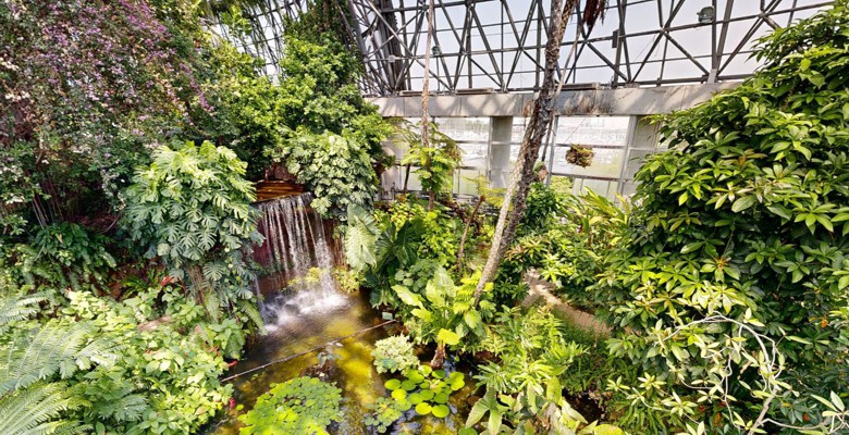 夢の島熱帯植物館より