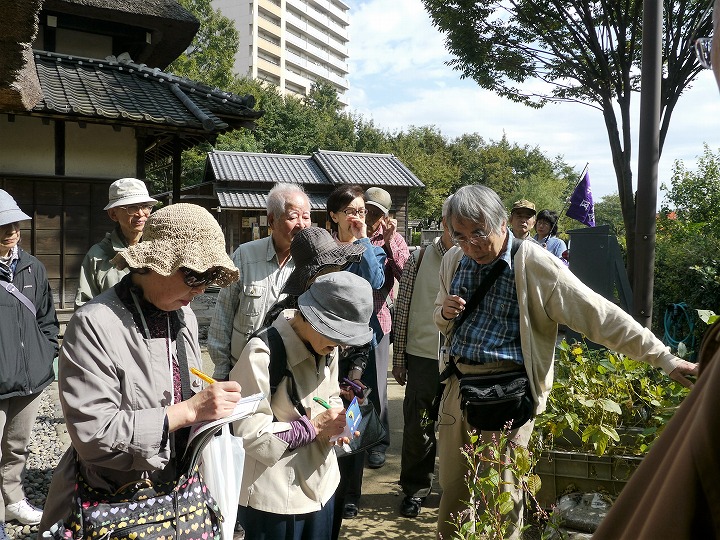 薬草鑑賞会2016　赤羽自然観察公園