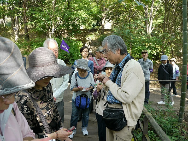 薬草鑑賞会2016　赤羽自然観察公園