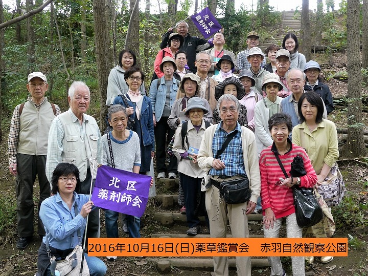 薬草鑑賞会2016　赤羽自然観察公園