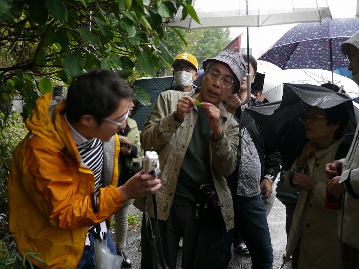 薬草鑑賞会2017　飛鳥山公園