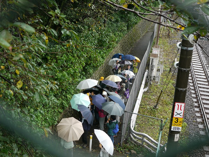 薬草鑑賞会2017　飛鳥山公園