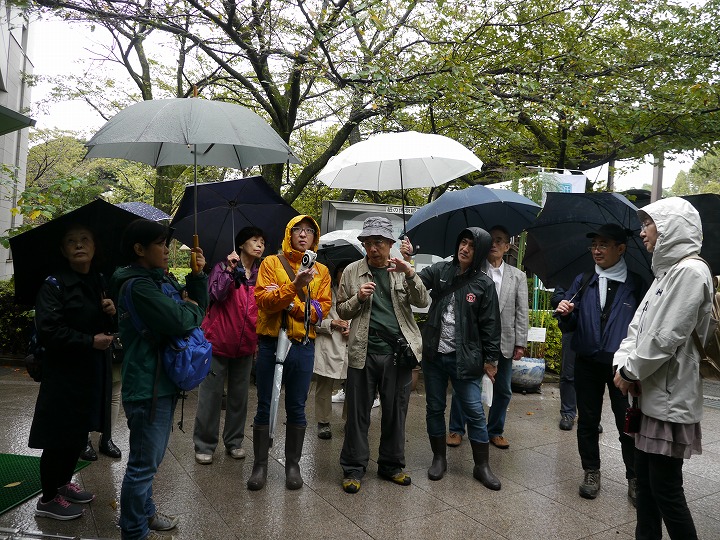 薬草鑑賞会2017　飛鳥山公園