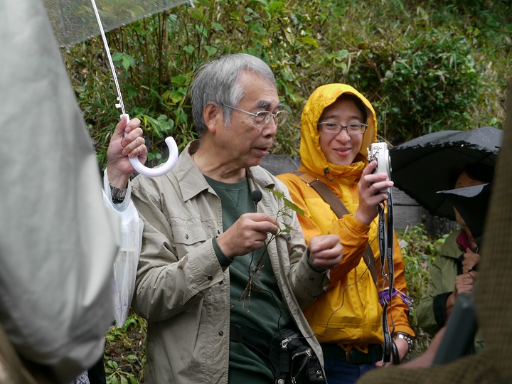 薬草鑑賞会2017　飛鳥山公園