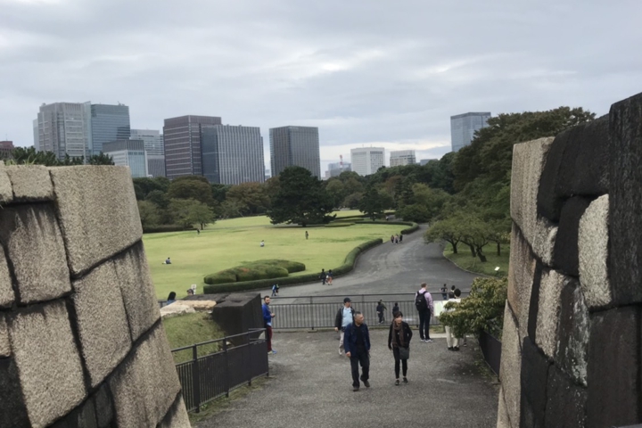 薬草鑑賞会2018　皇居東御苑