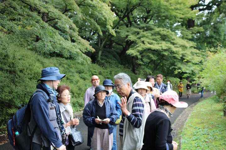 薬草鑑賞会2018　皇居東御苑