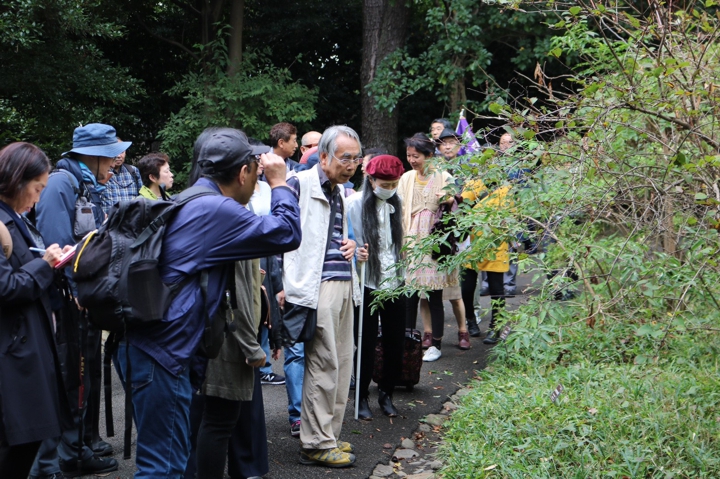 薬草鑑賞会2018　皇居東御苑