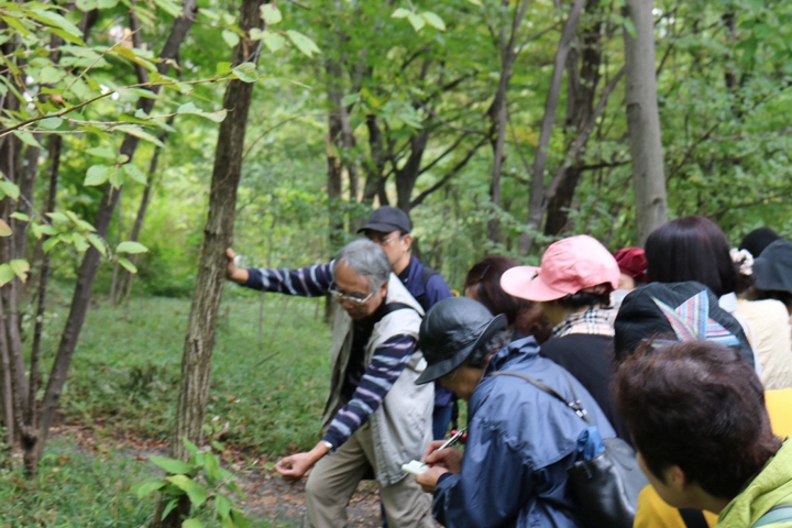 薬草鑑賞会2018　皇居東御苑